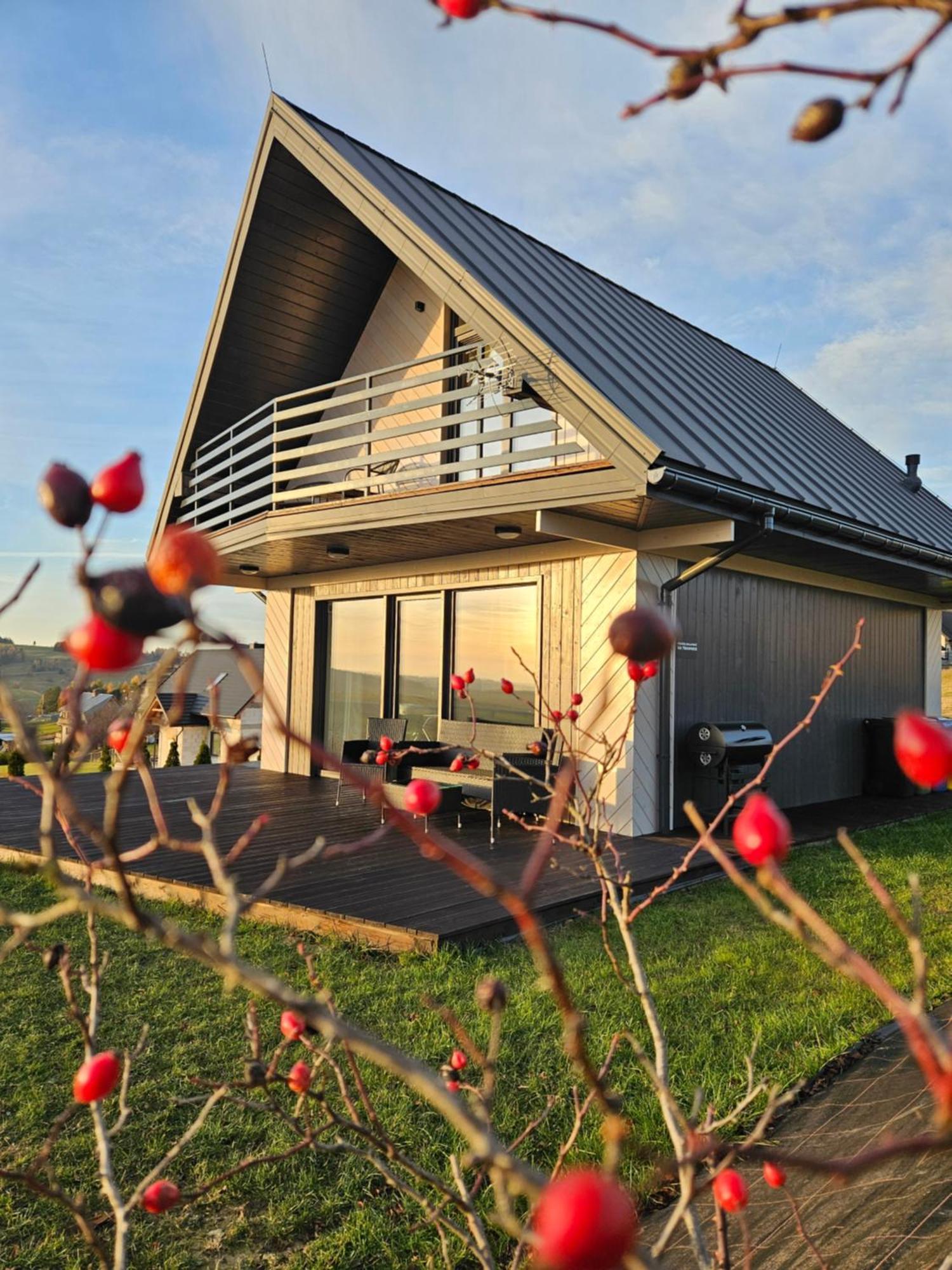 Ferienwohnung Okno Na Gory Klikuszowa Exterior foto